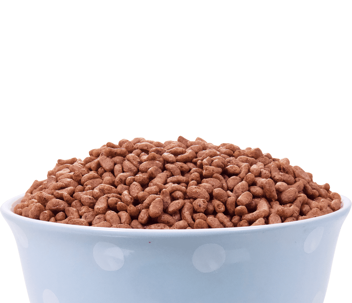 Arroz de Chocolate ESP