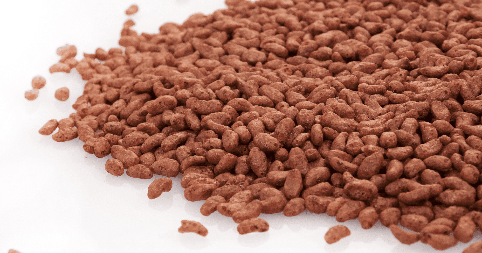 Arroz de Chocolate ESP